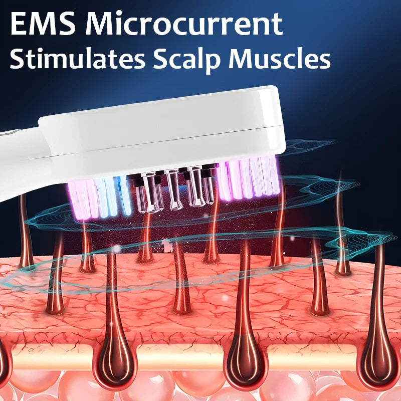 Electric Head Massage Comb EMS Scratching Kneading Essence Oil Applicator Scalp Brush Anti Hair Loss Hair Growth Health Care